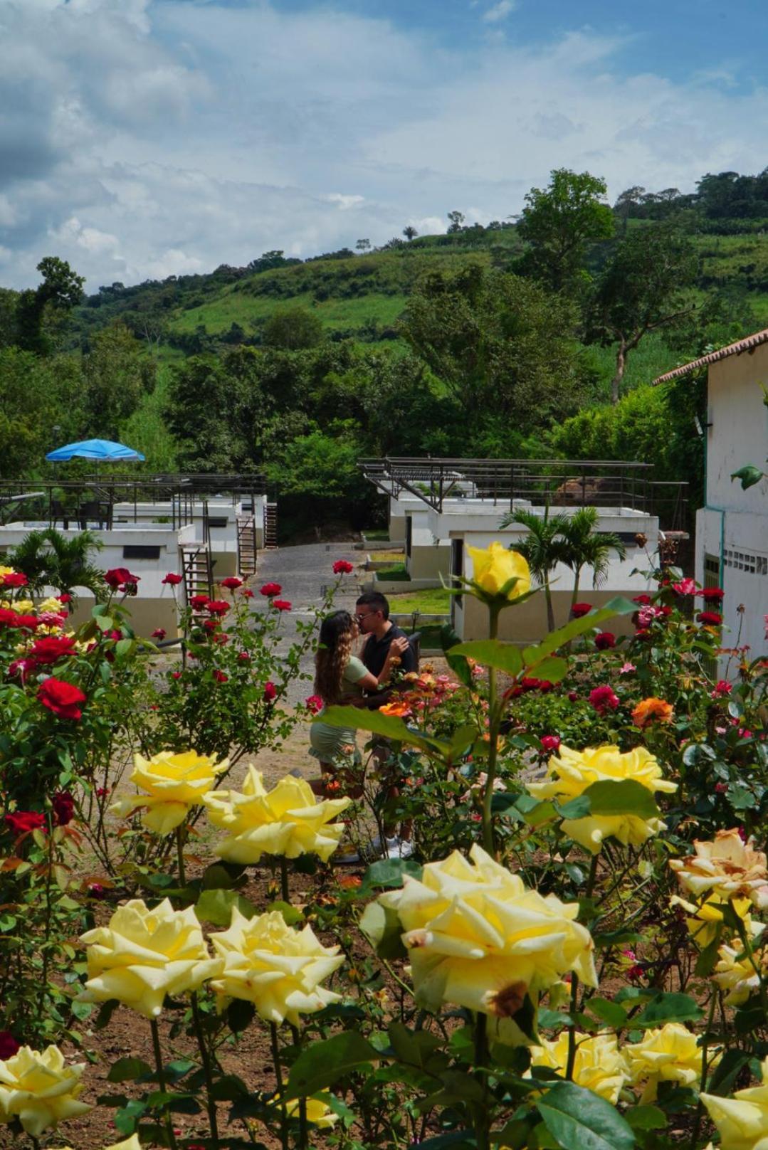 Hotel Cielo Abierto Glamping Valle de San José Exterior foto